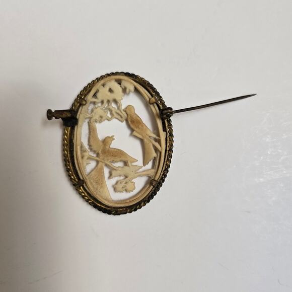 Depose France Celluloid Gold Bird Oval Brooche Ornate Carved Antique Read - Picture 7 of 8